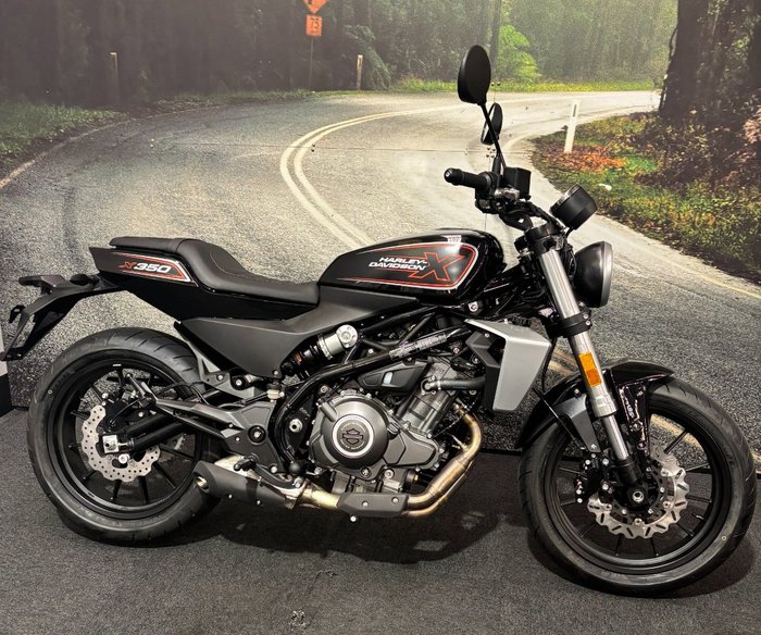 2024 HARLEY-DAVIDSON HD350-10 H-DX X350 Black