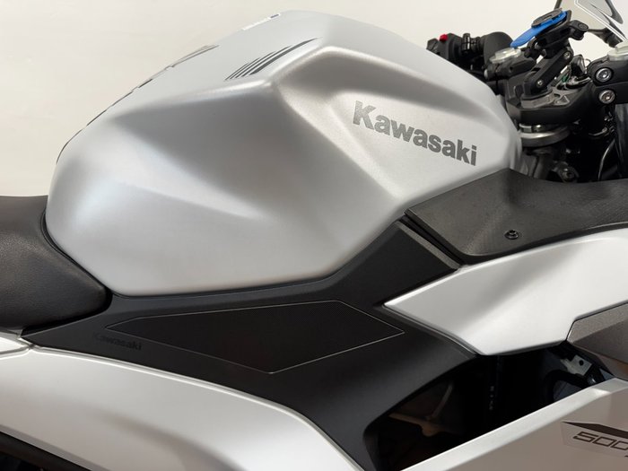 2024 Kawasaki NINJA 500 WHITE