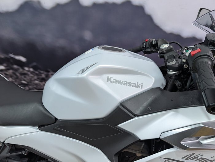 2025 Kawasaki NINJA 500 WHITE