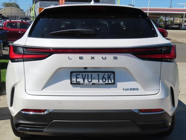 2022 Lexus NX 250