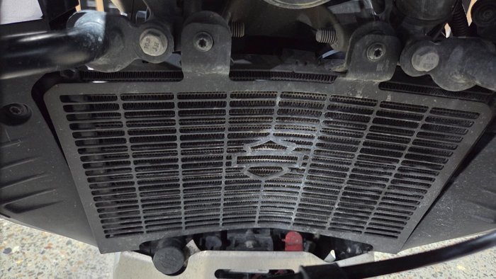 2025 Harley-Davidson 2025 Harley-Davidson 1250CC RA1250S PAN AMERICA SPECIAL DUAL GREY