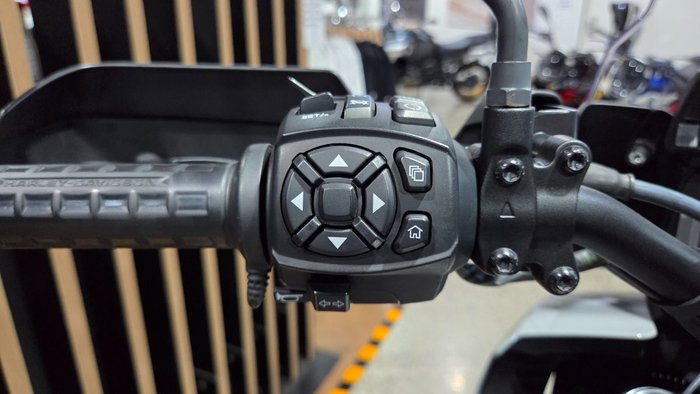 2025 Harley-Davidson 2025 Harley-Davidson 1250CC RA1250S PAN AMERICA SPECIAL DUAL GREY