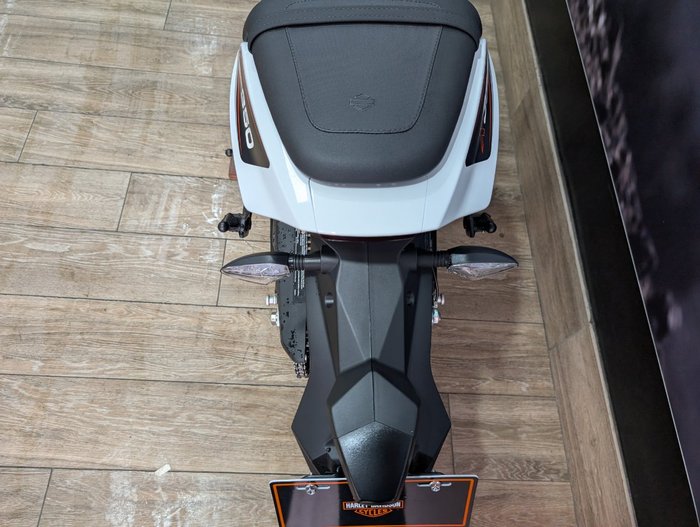 2024 HARLEY-DAVIDSON HD350-10 H-DX X350 WHITE