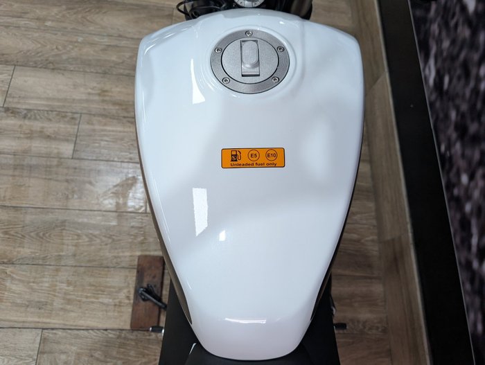 2024 HARLEY-DAVIDSON HD350-10 H-DX X350 WHITE