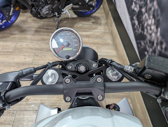 2024 HARLEY-DAVIDSON HD350-10 H-DX X350 WHITE
