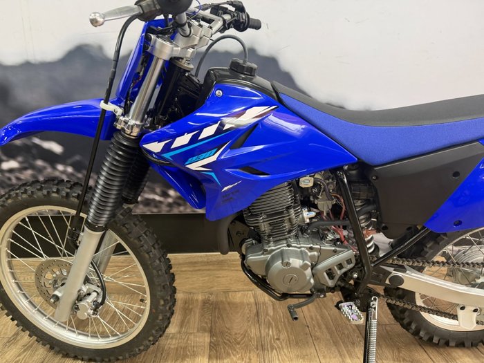 2026 Yamaha TT-R230 PURPLISH B