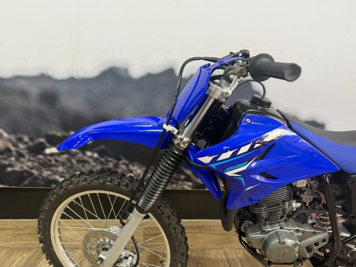 2026 Yamaha TT-R230 PURPLISH B