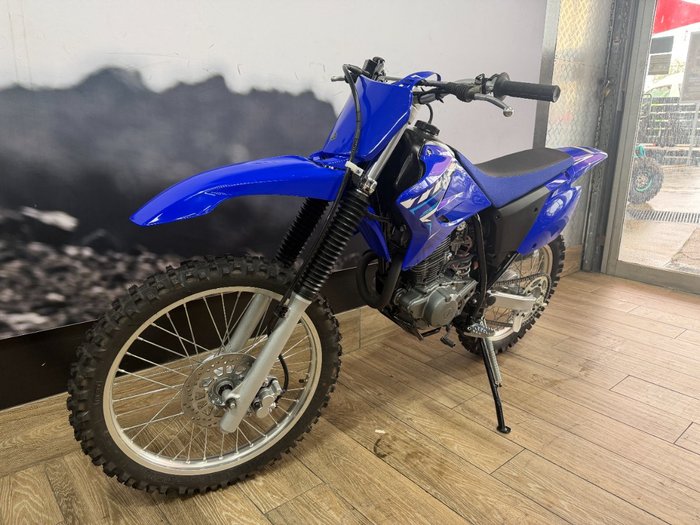 2026 Yamaha TT-R230 PURPLISH B