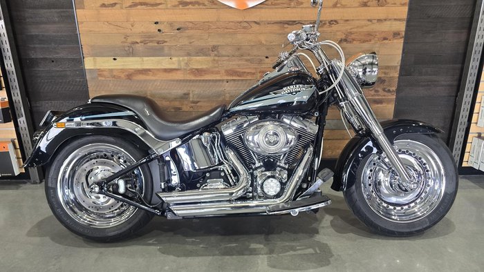 2009 Harley-Davidson Fat Boy 96 (FLSTF)