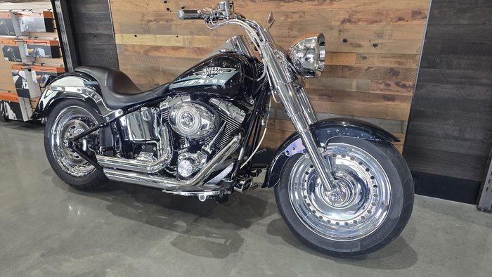 2009 Harley-Davidson Fat Boy 96 (FLSTF)