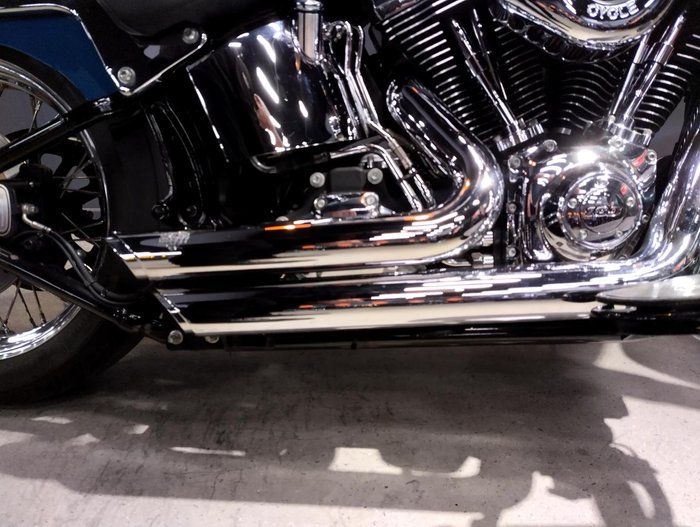 2013 Harley-Davidson Softail Deluxe 1690 (FLSTN) Softail Green
