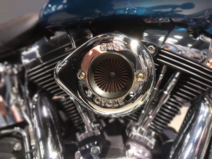 2013 Harley-Davidson Softail Deluxe 1690 (FLSTN) Softail Green