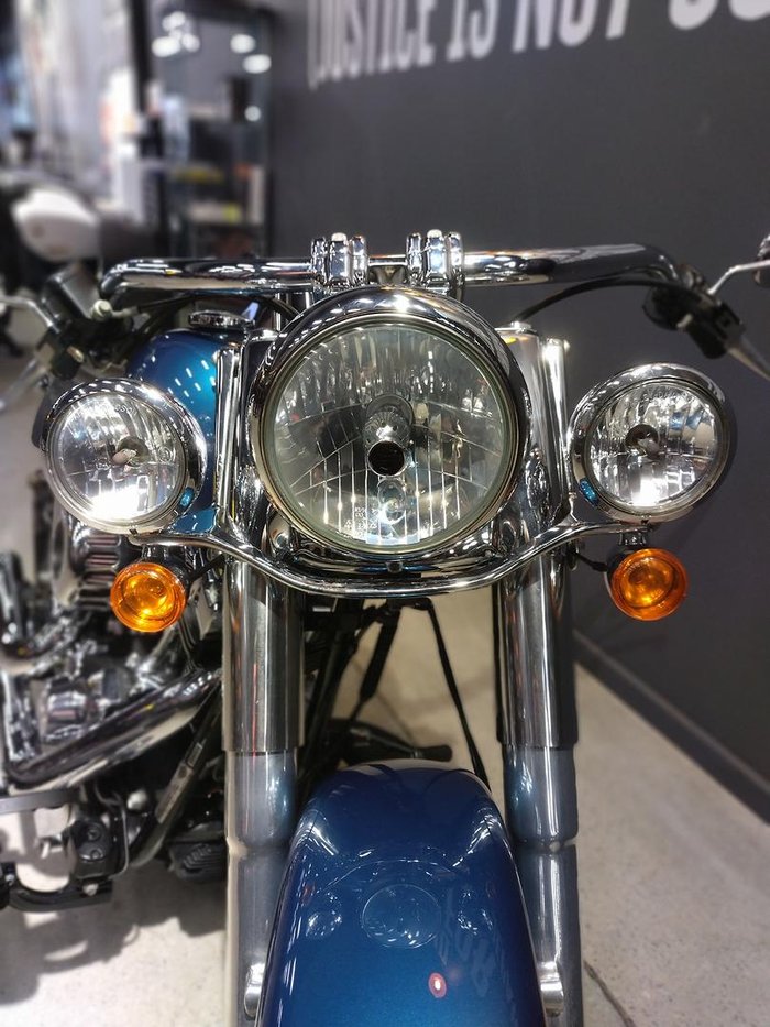 2013 Harley-Davidson Softail Deluxe 1690 (FLSTN) Softail Green