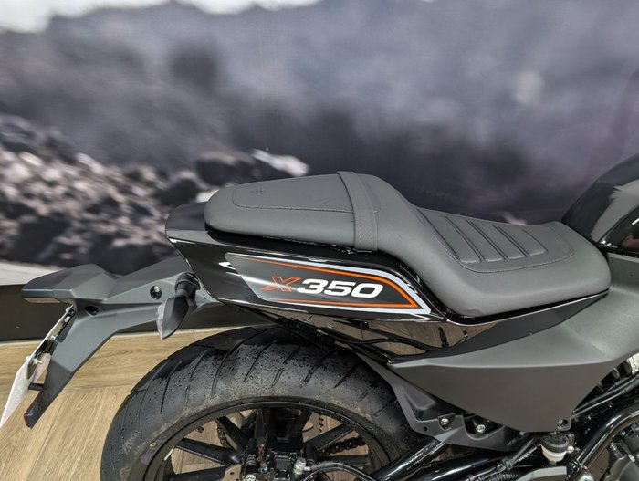 2024 HARLEY-DAVIDSON HD350-10 H-DX X350 Black