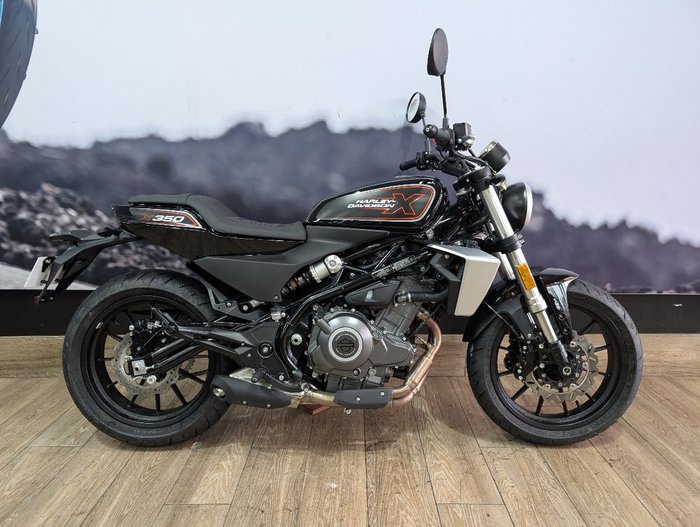 2024 HARLEY-DAVIDSON HD350-10 H-DX X350 Black