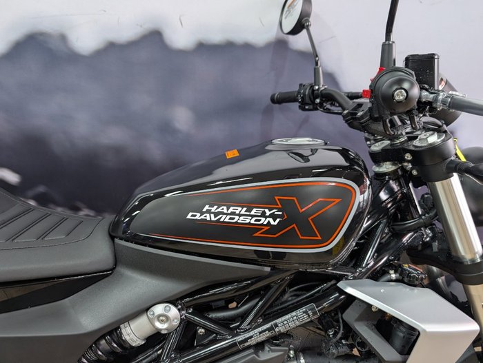 2024 HARLEY-DAVIDSON HD350-10 H-DX X350 Black