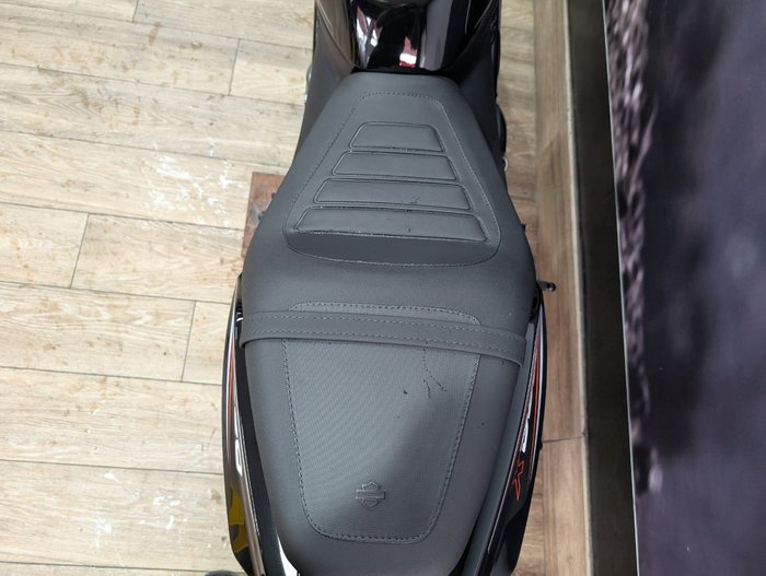 2024 HARLEY-DAVIDSON HD350-10 H-DX X350 Black