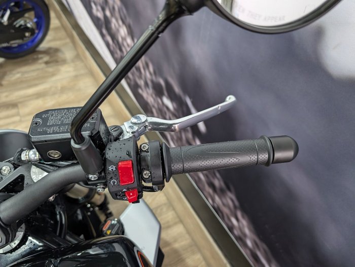 2024 HARLEY-DAVIDSON HD350-10 H-DX X350 Black