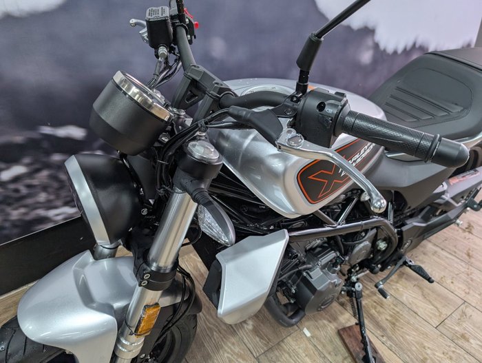 2024 HARLEY-DAVIDSON HD350-10 H-DX X350 SILVER
