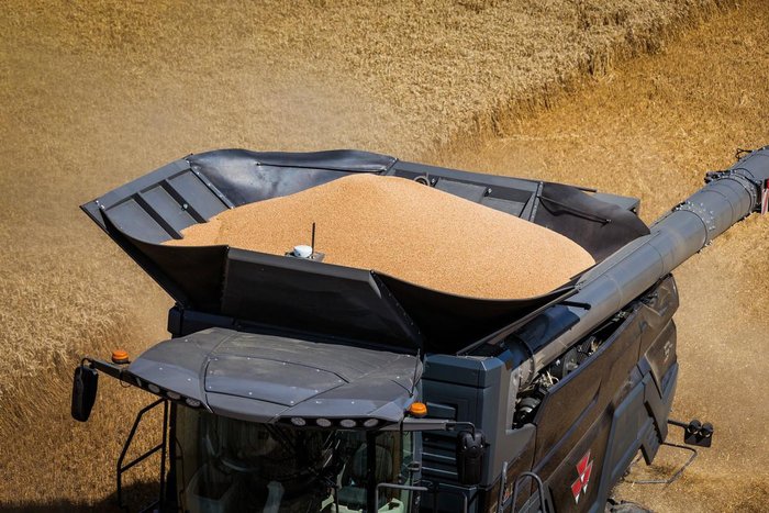 2019 MF Ideal 9 Harvester