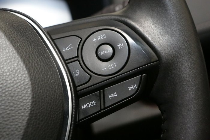 2022 Toyota RAV4 Cruiser