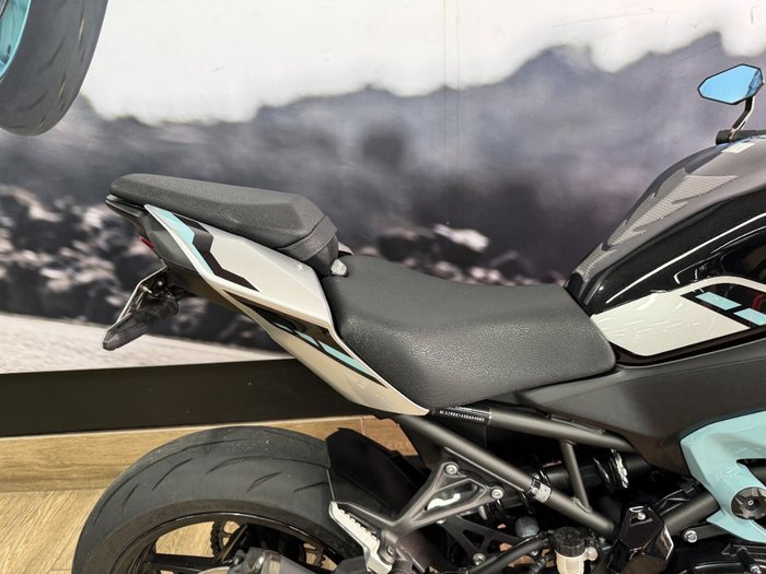 2025 Kawasaki Z900 (ZR900) WHITE