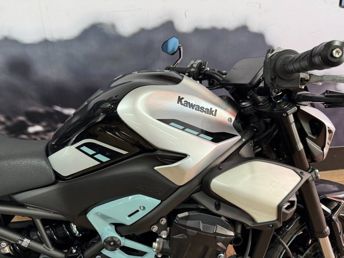 2025 Kawasaki Z900 (ZR900) WHITE