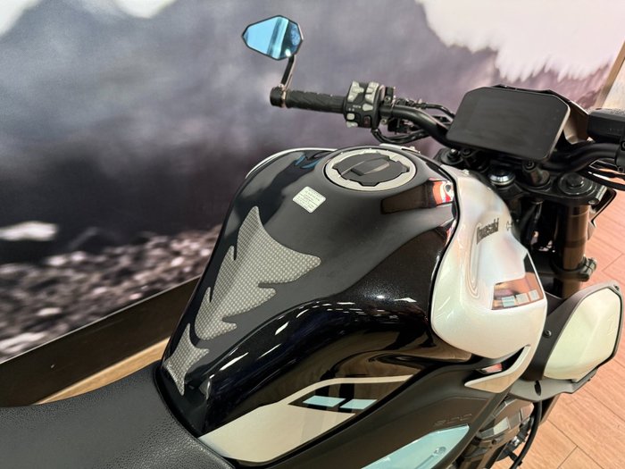 2025 Kawasaki Z900 (ZR900) WHITE
