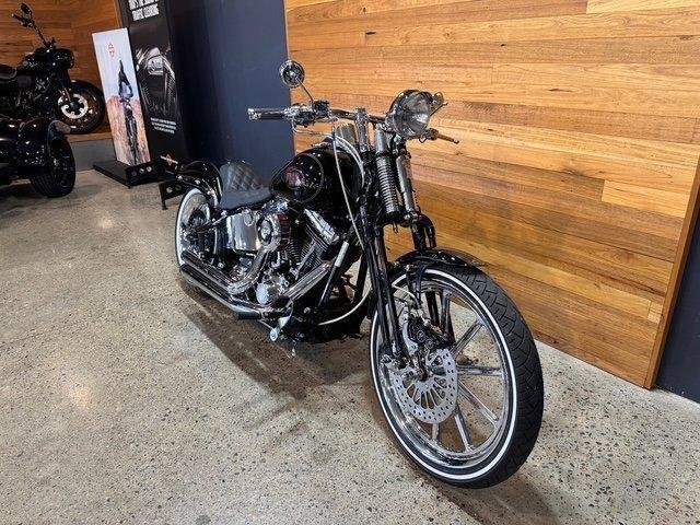 2007 Harley-Davidson Softail Custom 1584 (FXSTC)