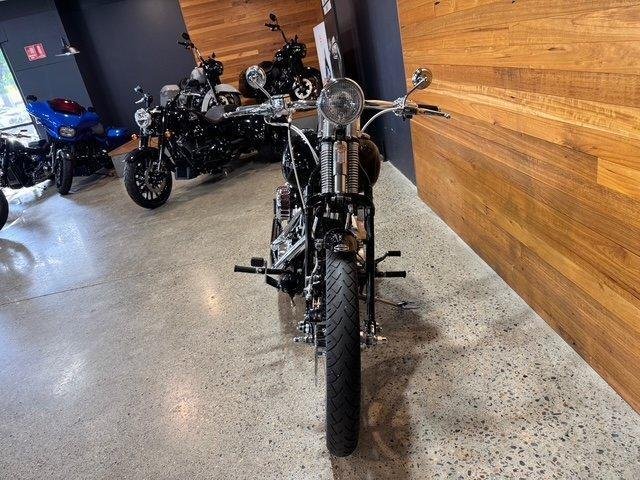2007 Harley-Davidson Softail Custom 1584 (FXSTC)