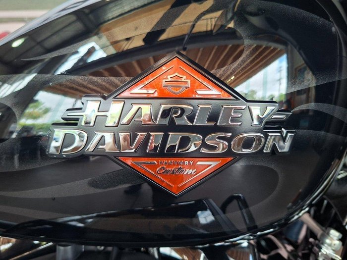 2025 Harley-Davidson