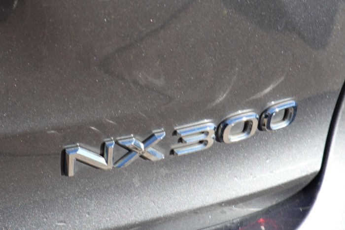 2019 Lexus NX 300 Luxury