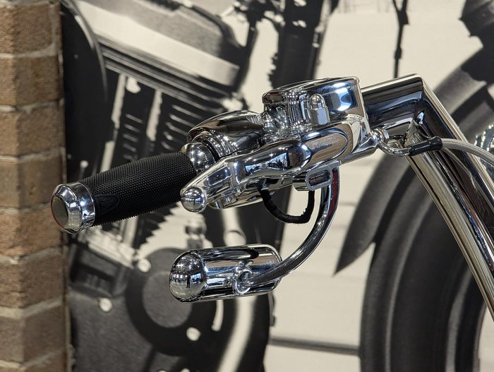 2022 Harley-Davidson Fat Boy 114 (FLFBS) Softail Black