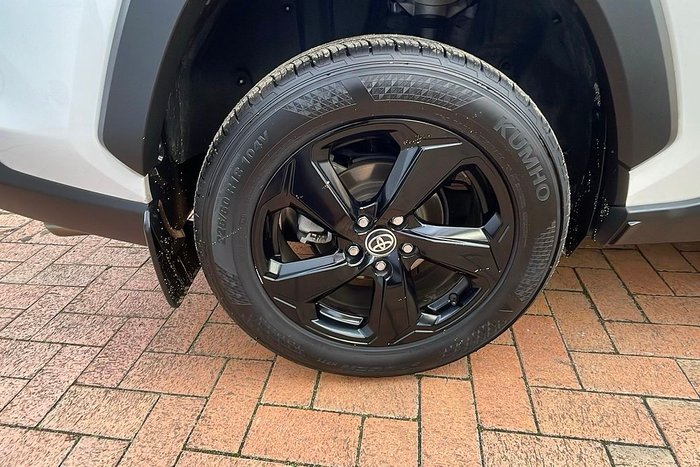 2020 Toyota RAV4 Cruiser