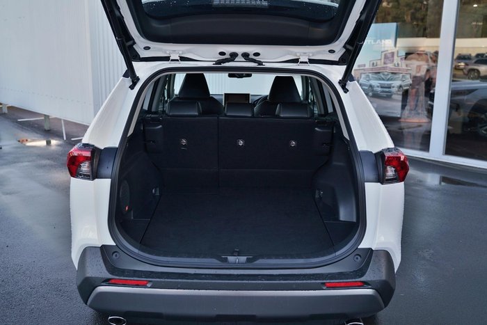 2020 Toyota RAV4 Cruiser