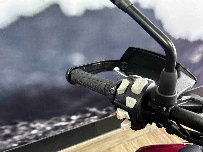 2024 Triumph TIGER 900 GT RED