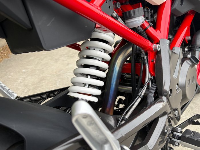 2024 BMW Motorrad G 310 R