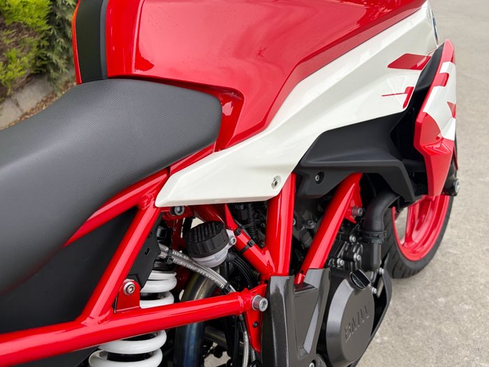 2024 BMW Motorrad G 310 R