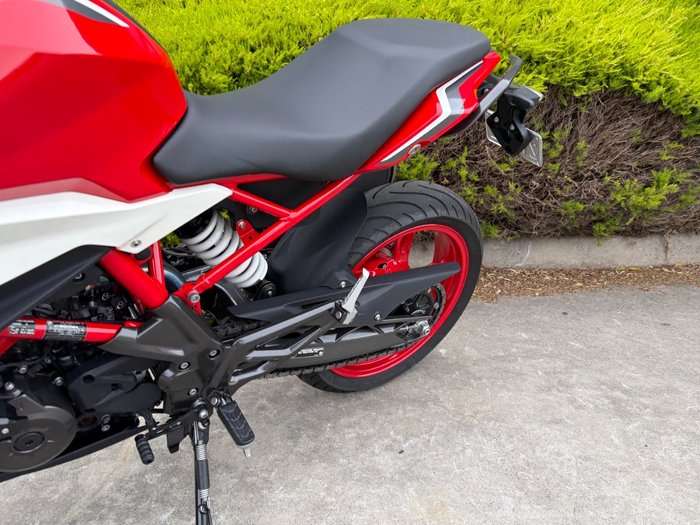 2024 BMW Motorrad G 310 R