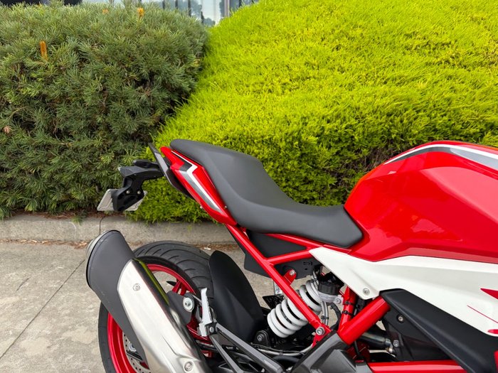 2024 BMW Motorrad G 310 R
