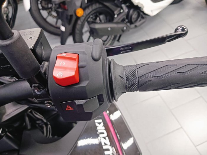2024 Suzuki GSX-8S GSX-S Blue