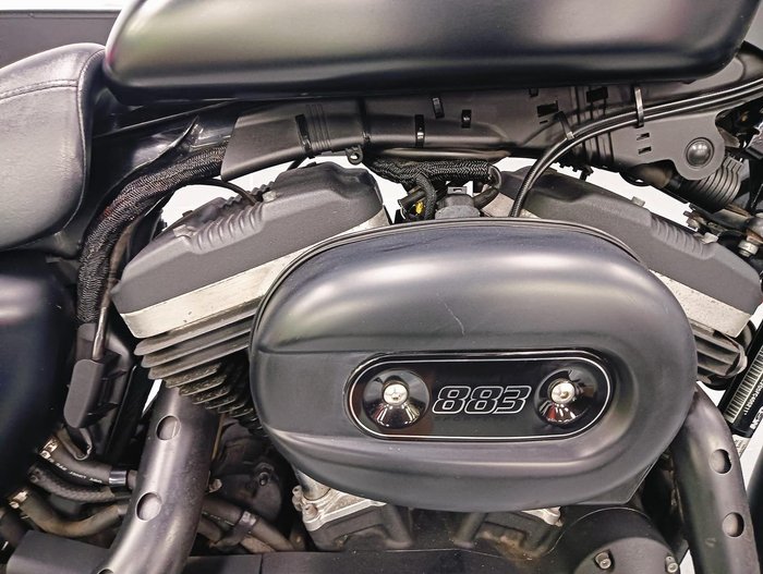 2014 Harley-Davidson Iron 883 (XL883N)