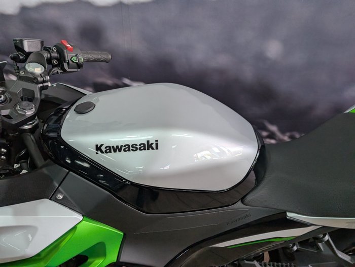 2025 Kawasaki NINJA e-1 SILVER