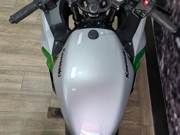 2025 Kawasaki NINJA e-1 SILVER
