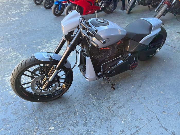 2019 HARLEY-DAVIDSON FXDRS FXDR (114) TT WHITE