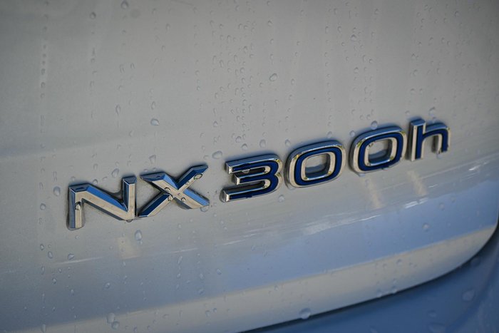 2019 Lexus NX 300h F Sport