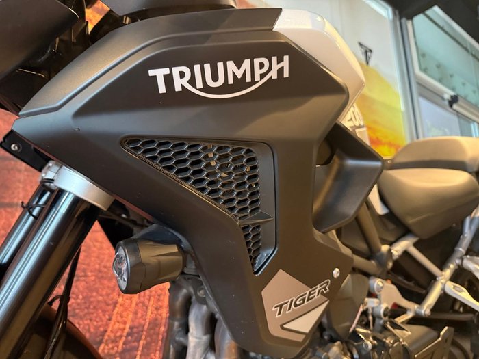 2023 Triumph Tiger 1200 GT Pro Tiger White