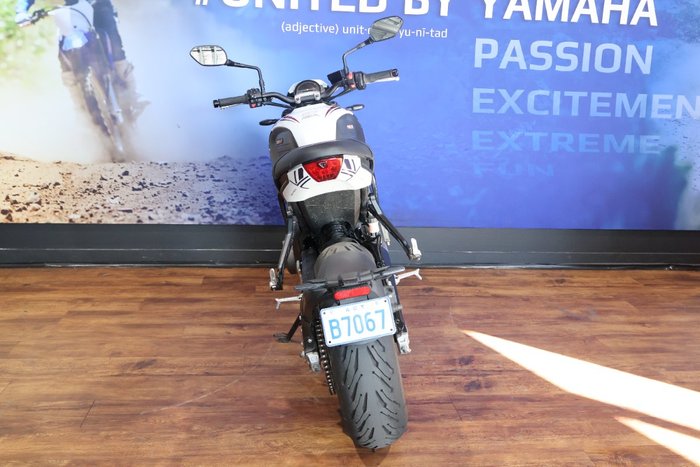 2024 TRIUMPH TRIDENT 660 White