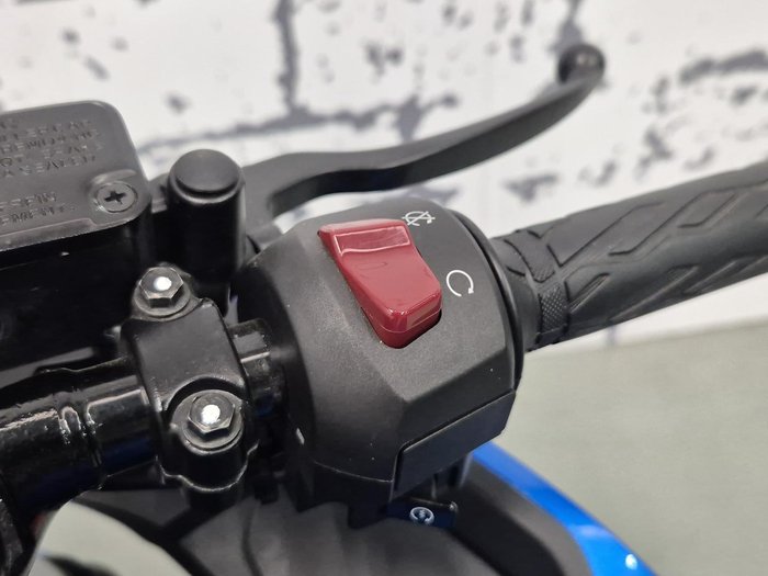 2019 Suzuki GSX-R125 (GSX-R125A) GSX-R Blue