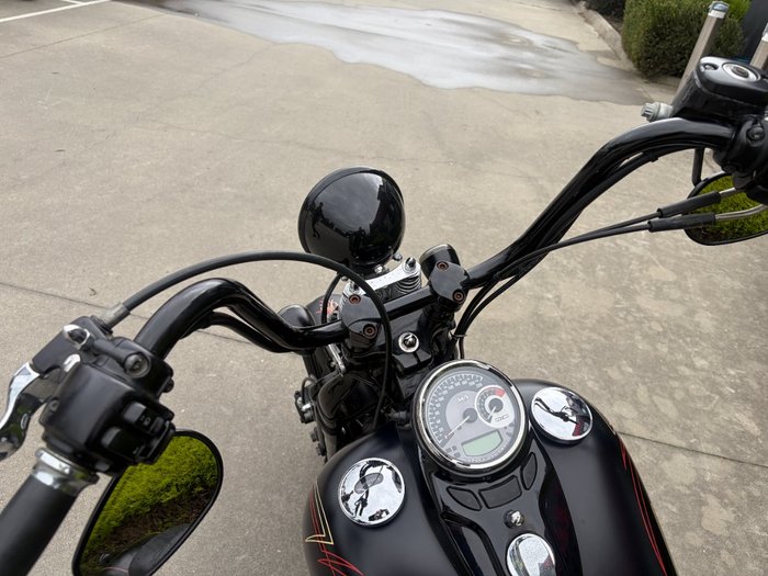 2008 HARLEY-DAVIDSON FLSTSB SOFTAIL CROSS BONES Black